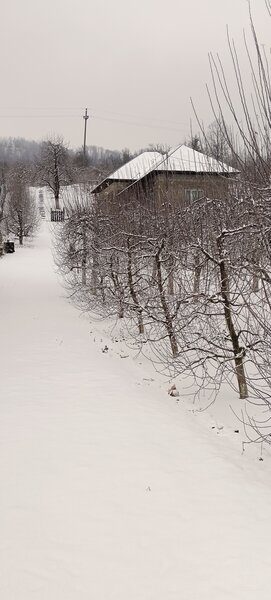 Botesti, judetul Arges.