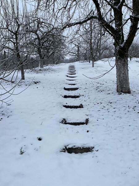 Botesti, judetul Arges.