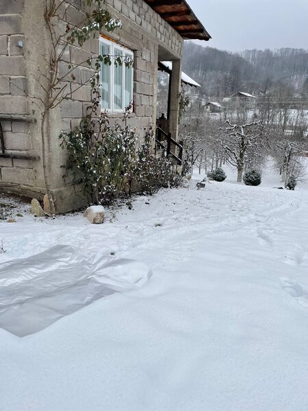 Botesti, judetul Arges.