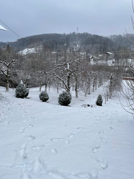 Botesti, judetul Arges.